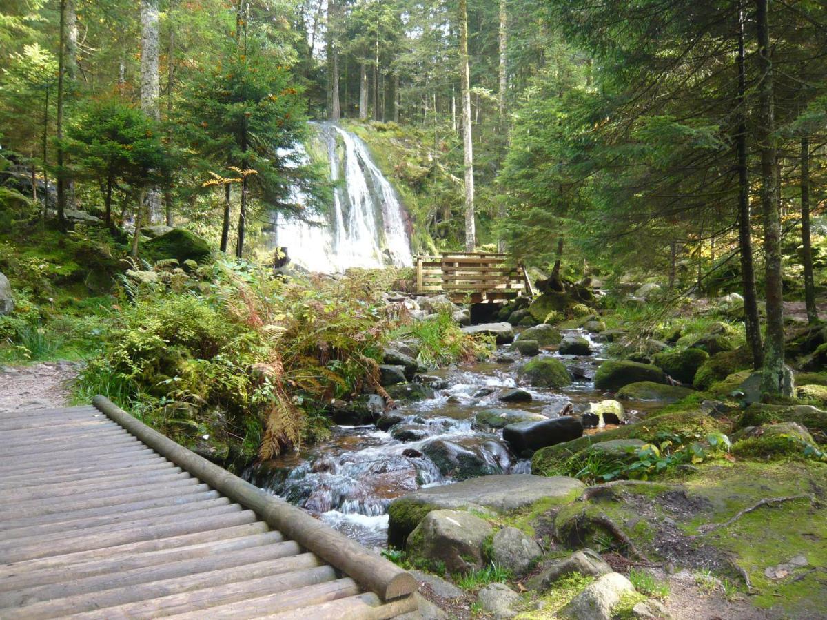 Chalet Les Moraines 8 Le Tholy Luaran gambar